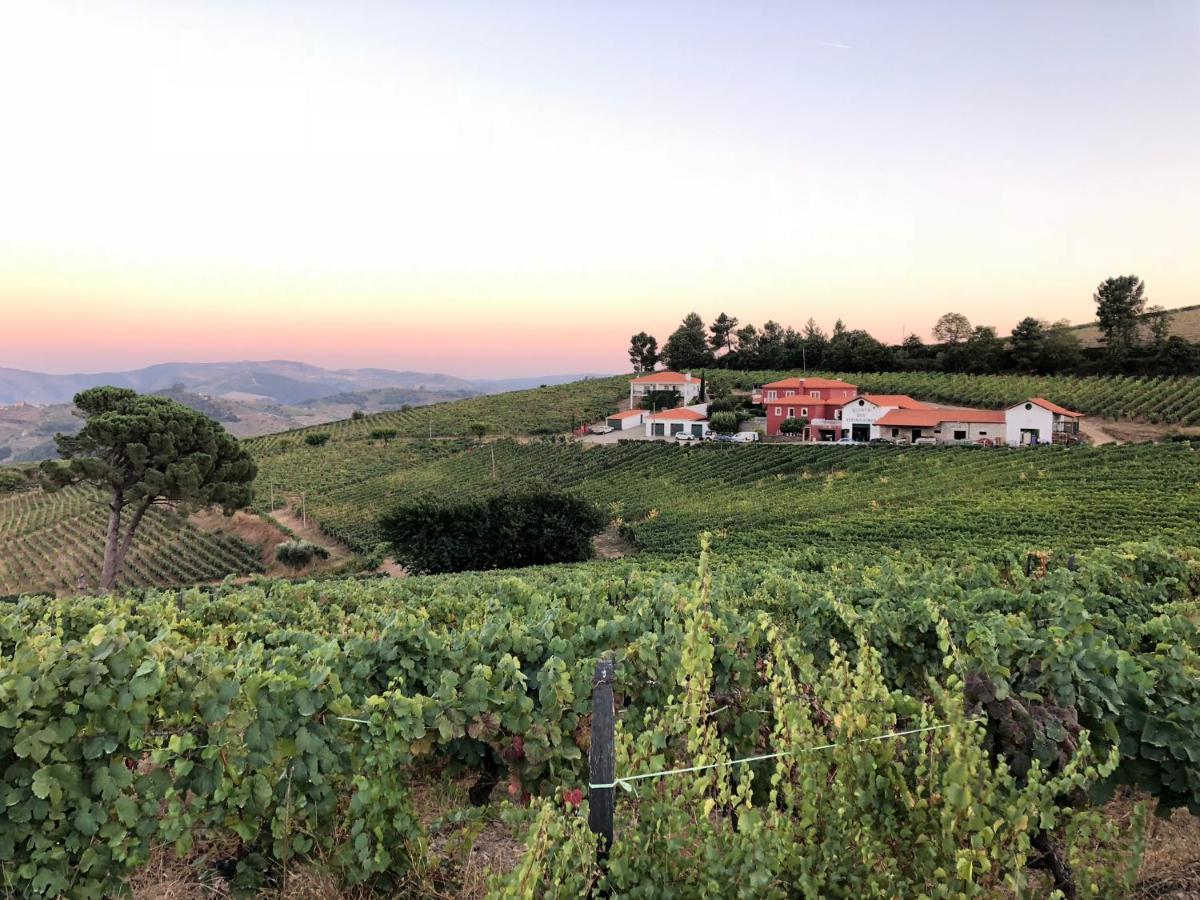 Quinta Dos Espinheiros Βίλα Provesende Εξωτερικό φωτογραφία