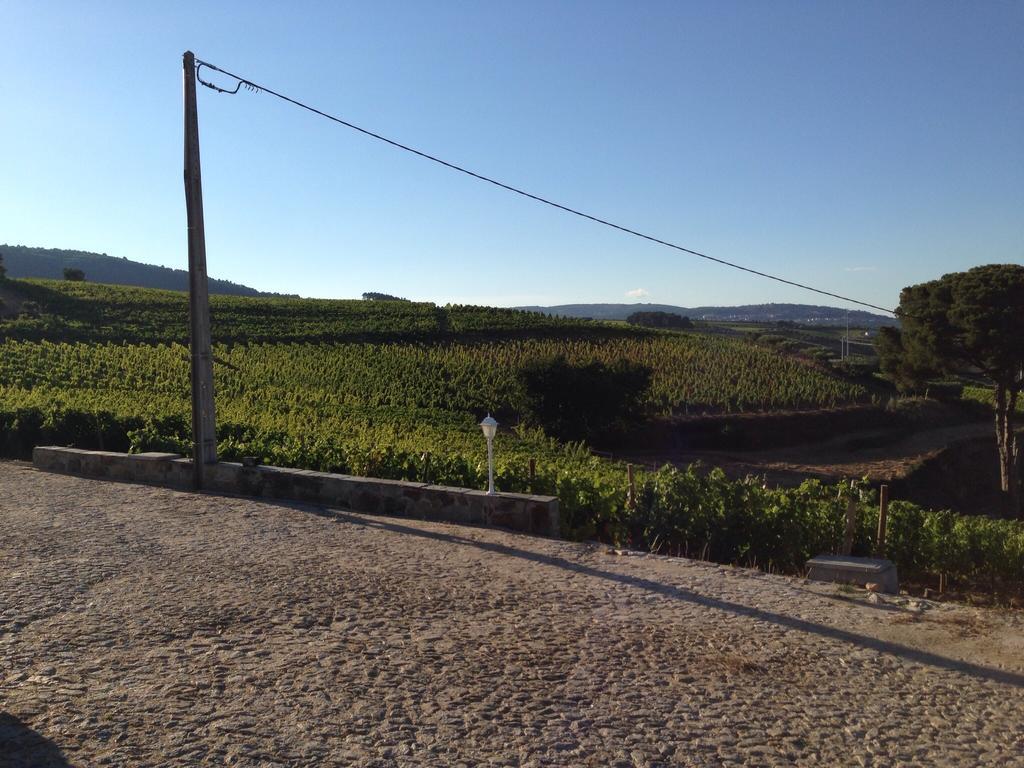 Quinta Dos Espinheiros Βίλα Provesende Δωμάτιο φωτογραφία