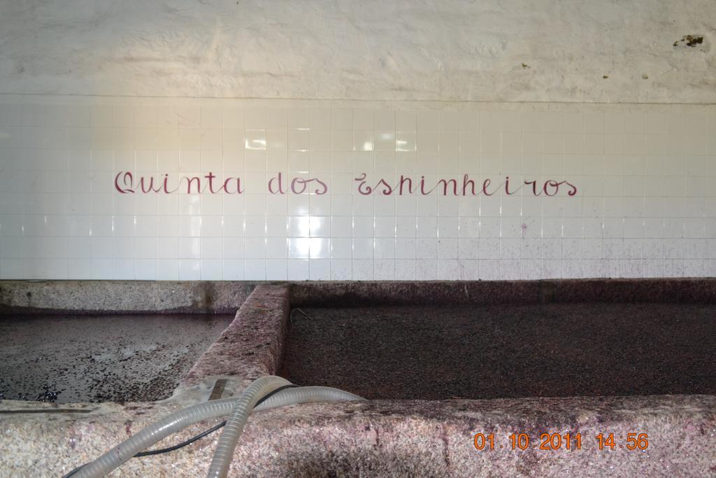 Quinta Dos Espinheiros Βίλα Provesende Εξωτερικό φωτογραφία