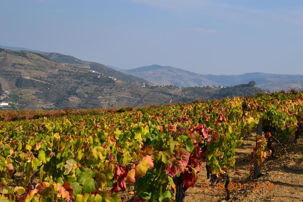 Quinta Dos Espinheiros Βίλα Provesende Εξωτερικό φωτογραφία