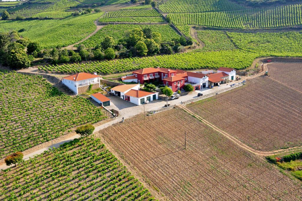 Quinta Dos Espinheiros Βίλα Provesende Εξωτερικό φωτογραφία