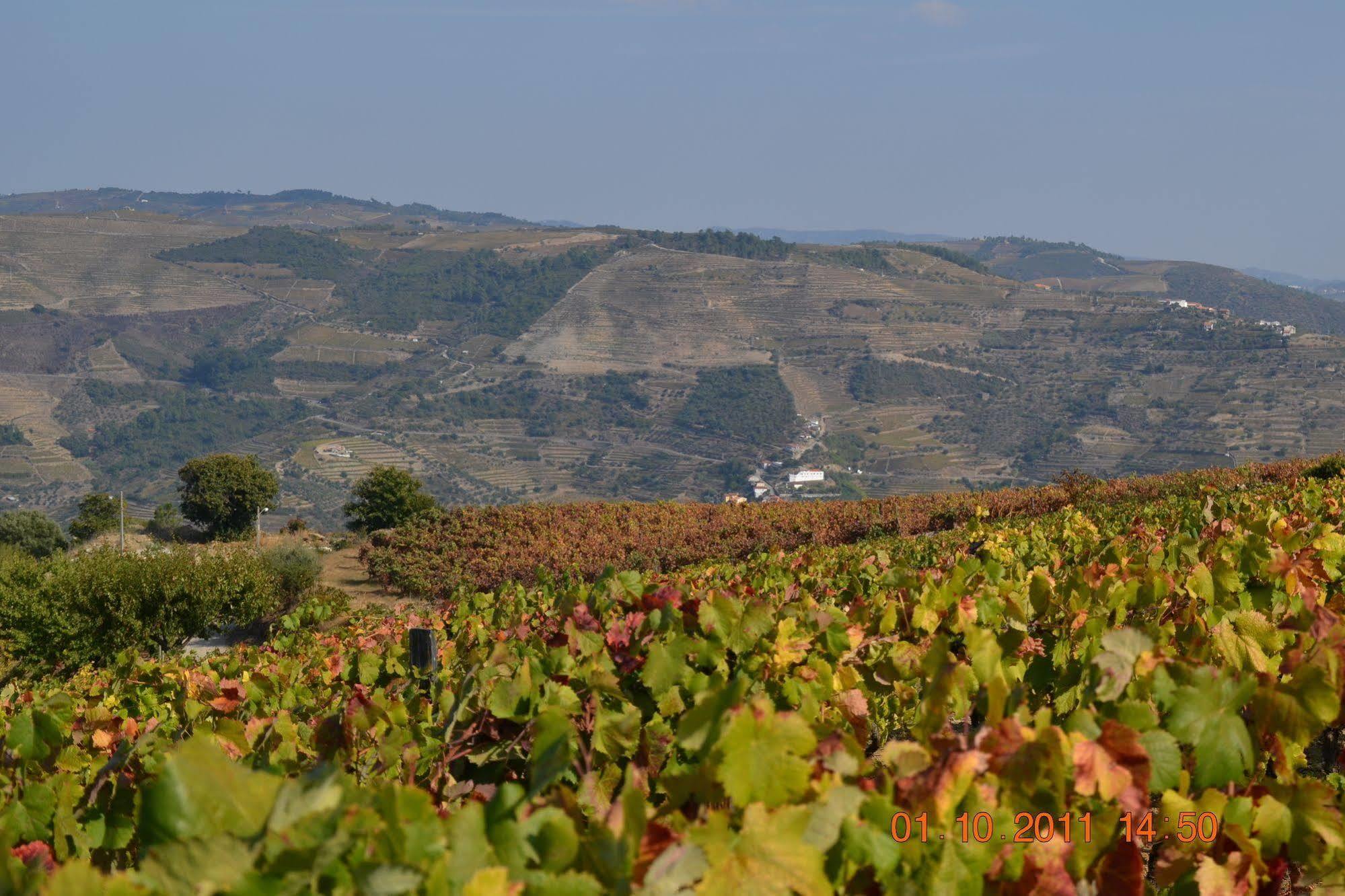 Quinta Dos Espinheiros Βίλα Provesende Εξωτερικό φωτογραφία