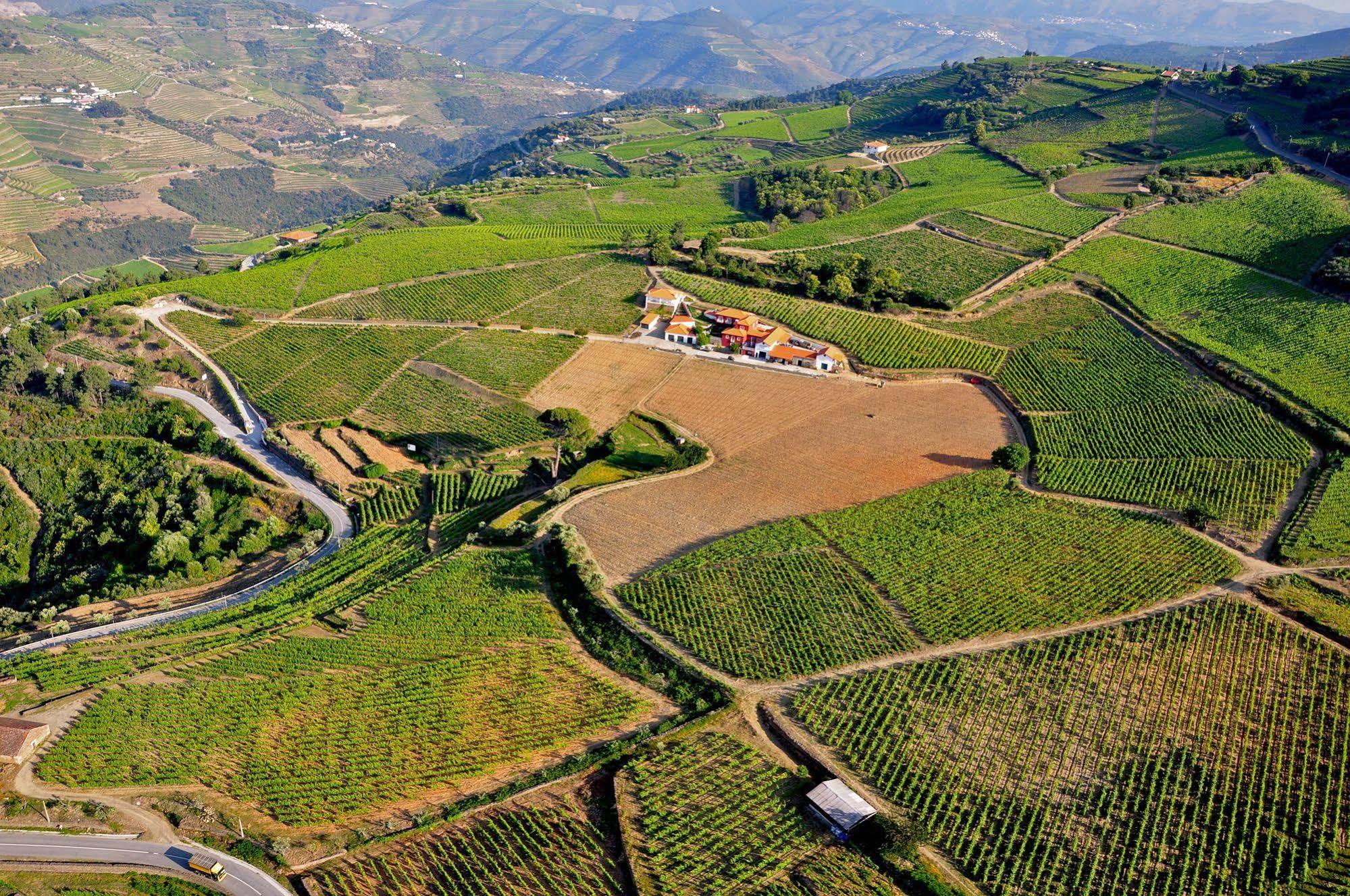 Quinta Dos Espinheiros Βίλα Provesende Εξωτερικό φωτογραφία