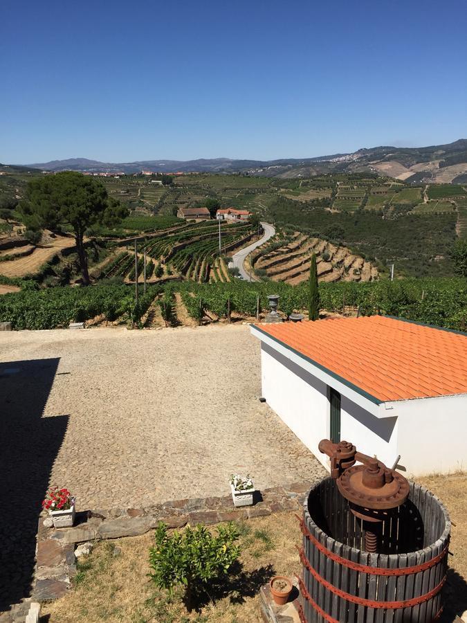 Quinta Dos Espinheiros Βίλα Provesende Δωμάτιο φωτογραφία